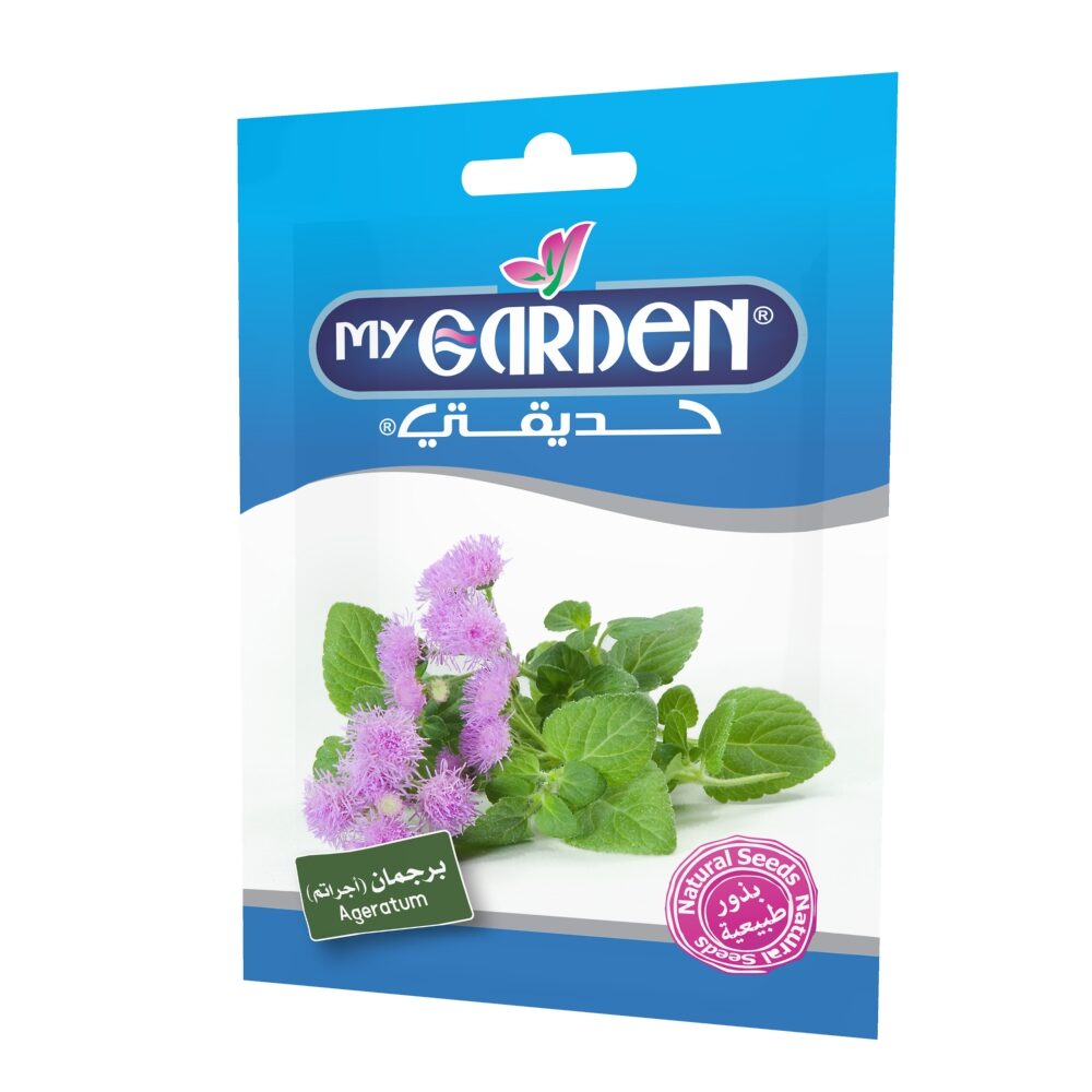 Ageratum